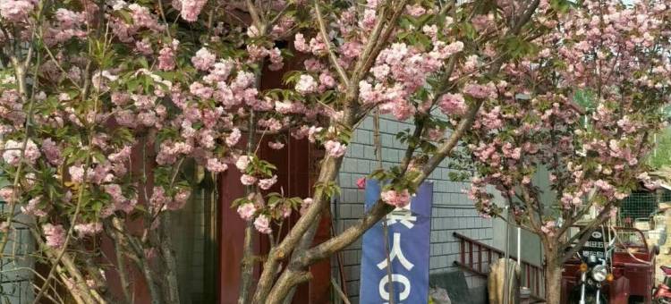 天津依山居农家院图片