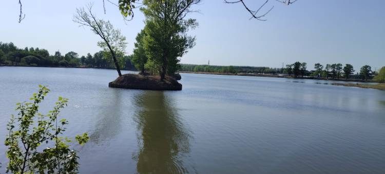 长春阅湖精品民宿(北湖吾悦广场店)图片