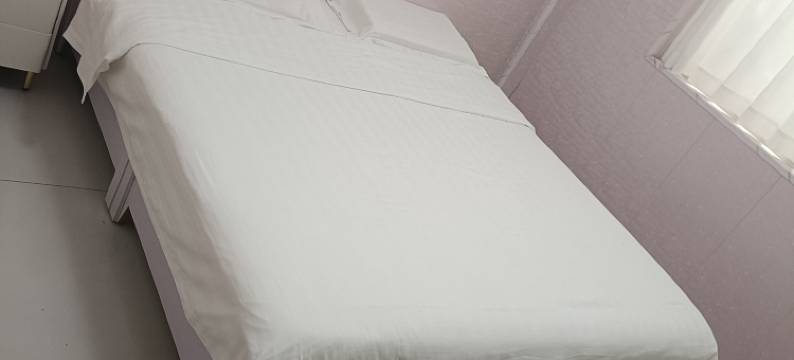 大名金安宾馆图片