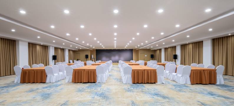 璞爵国际酒店(上海松江新桥店)图片