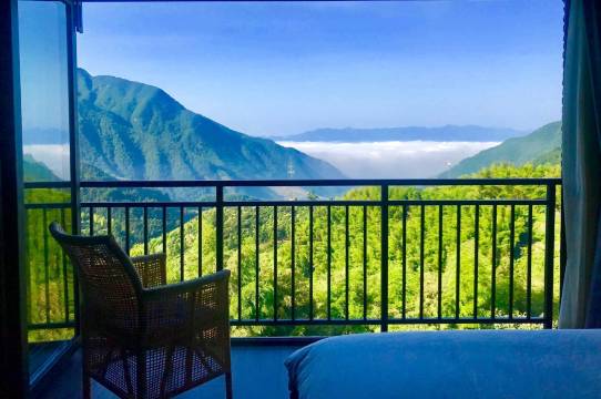 松阳无心云舍民宿