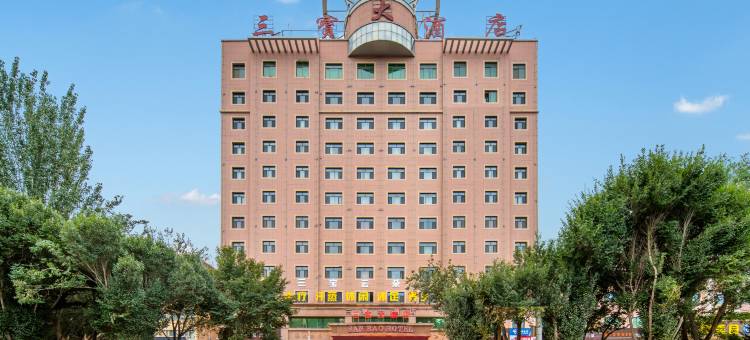 轮台三宝大酒店图片
