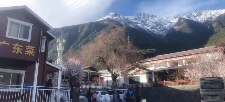 波密悠游道木屋酒店图片