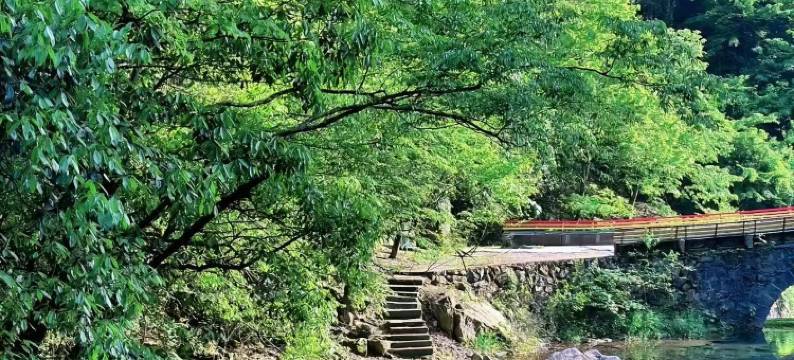 桐庐岭上白云民宿(白云源度假区店)图片