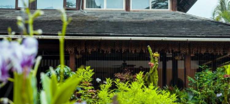 青曼小院(傣族园景区店)图片