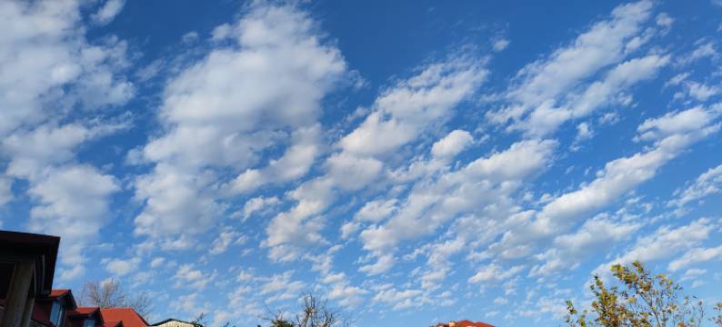 庐山这有山民宿(牯岭街索道上站台店)图片