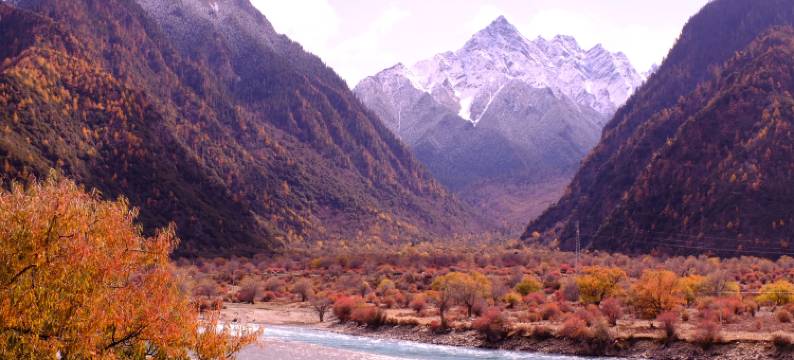 雪莲花富氧观景酒店(拉萨布达拉宫店)图片