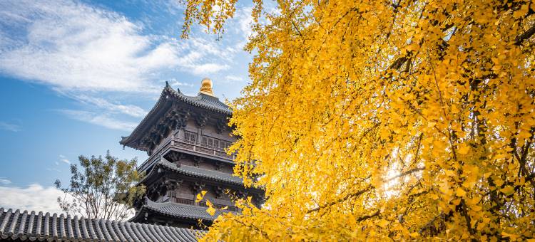 濮院时尚古镇蚬子滩客栈图片