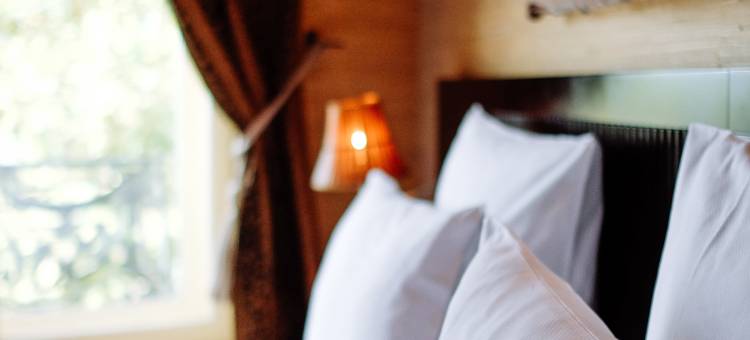 图卢兹美术酒店(Hôtel des Beaux Arts Toulouse)图片