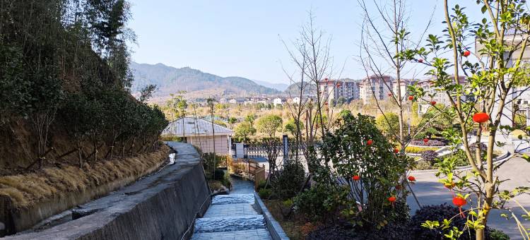 心宿·雅苑度假酒店(千古情店)图片