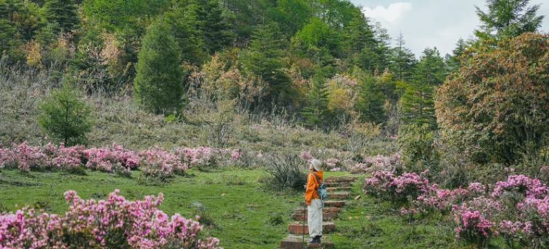 兰坪墅家吾乡罗古箐徒步民宿图片