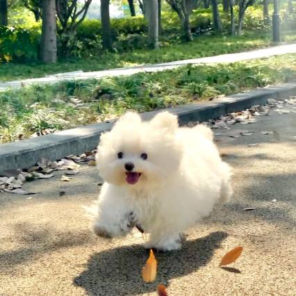 倚岚御墅Warmth 生态氧吧|简奢氛围亲子度假艺宿(汤口南大门店)图片