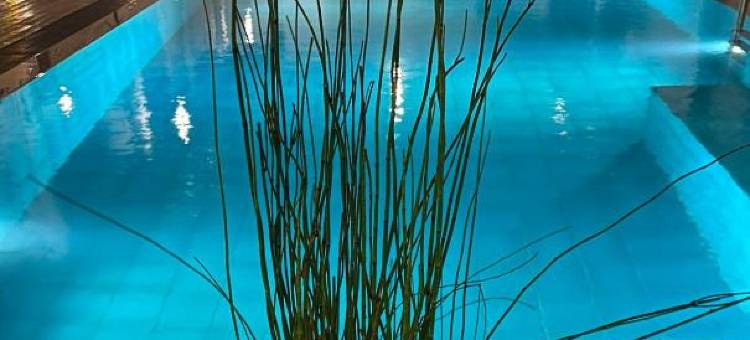 D' Art别墅度假村和水疗中心(D' Art Villa Retreat and Spa)图片