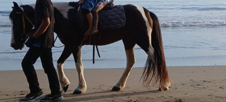 Gestur First House (Syariah)图片