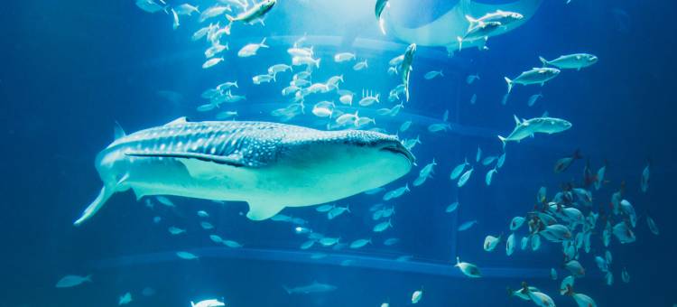 御堂筋本町塔比斯特尤尼酒店(Tabist Unihotel Midosuji Hommachi)图片