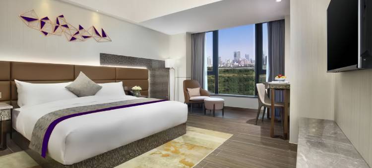 庆元丽质精品酒店图片