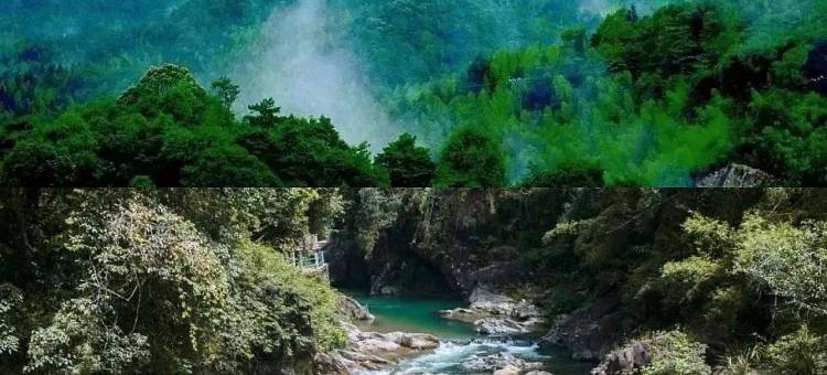 龙门南昆山明月竹海山庄图片