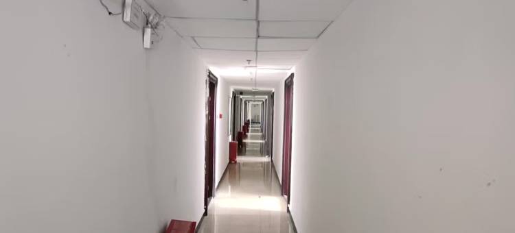 座头鲸酒店图片