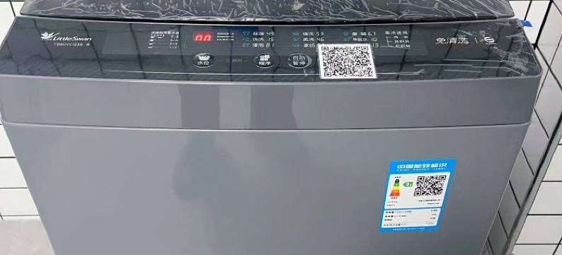 小熊青年公寓图片