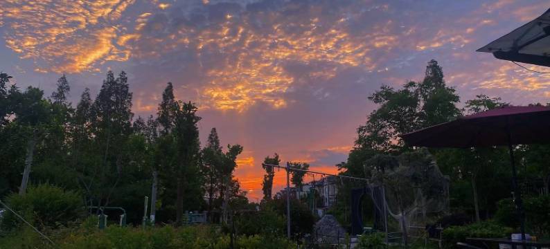 乌镇西栅有客民宿图片