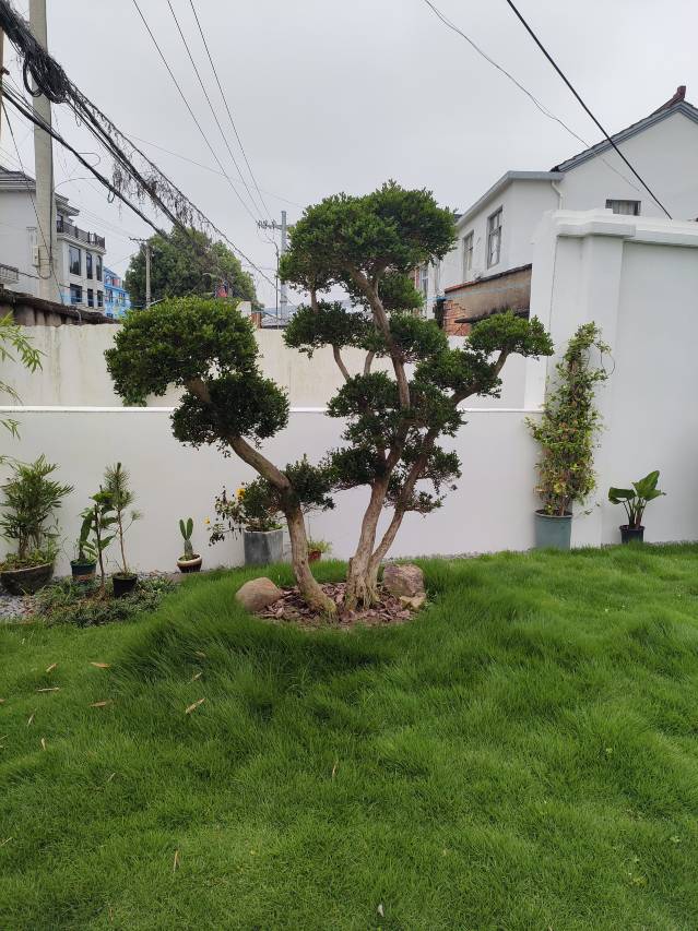 象山思庐·轻奢设计师民宿图片