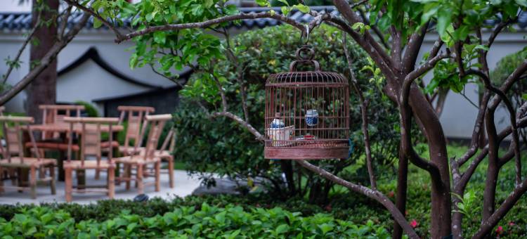 青溪吾舍民宿图片