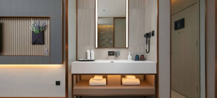 麗枫酒店(长沙高铁南站店)图片