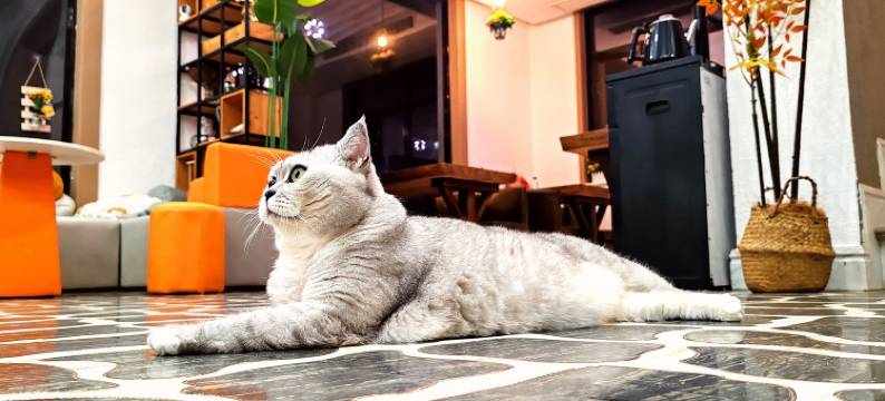 嵊泗九点半Meeting度假民宿(东海五渔村店)图片