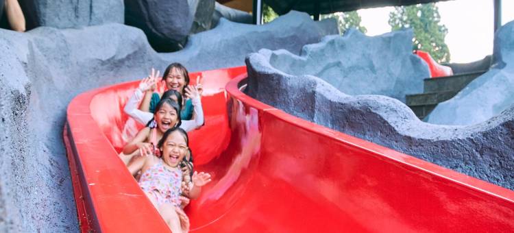 邦加山Horison郁金香度假村(Horison Resort Tulip Puncak)图片