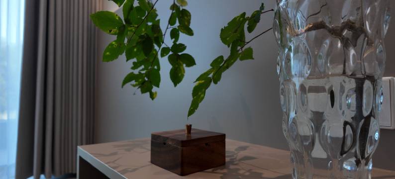 山语云上民宿(本溪水洞店)图片