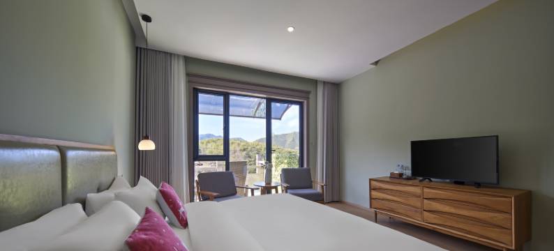 花筑悦·莫干山云迹坡温泉美墅(后坞换乘中心店)图片