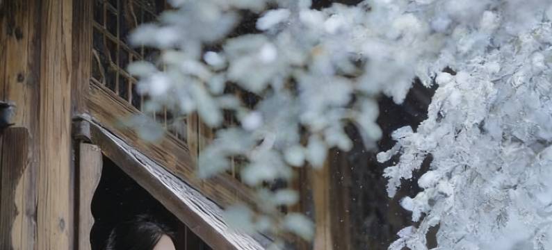 乌镇·观景阁精品民宿(西栅景区店)图片