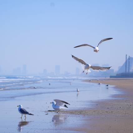 烟台鑫广万豪酒店图片