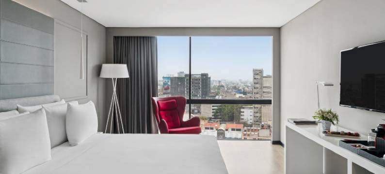 NH典藏墨西哥城公寓(NH Collection Mexico City)图片