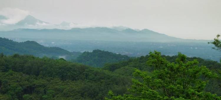 青城山素喜青山森林民宿图片
