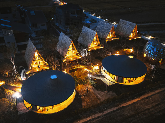 太仓七十二家村树蛙部落