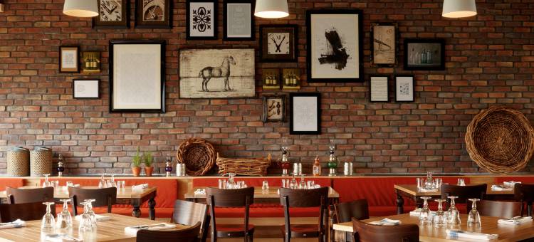 巴鲁特GOIA(Barut GOIA)图片