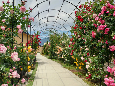 梦富士花之宿旅馆 【仅限成人入住】