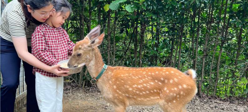 谷予·valley鹿也·亲子温泉度假民宿图片