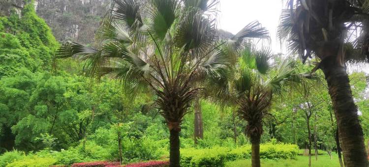 中水国际酒店(桂林南溪山店)图片