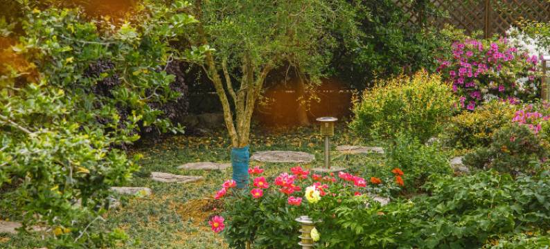 溧阳戴埠绿乡民宿图片