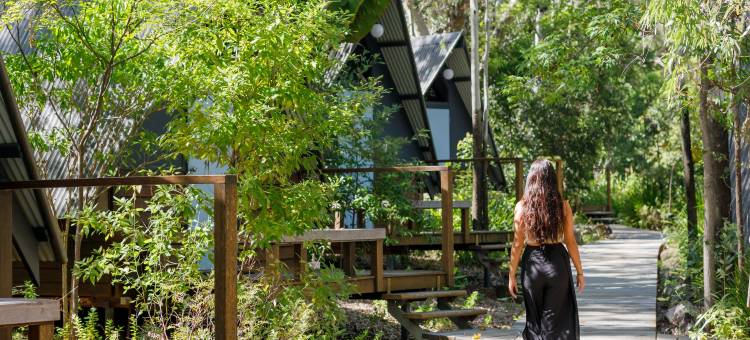 罗默磁岛考拉公园(Bounce Magnetic Island and Koala Park)图片