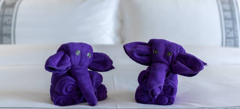 世纪品源酒店(市政府沃尔玛店)图片