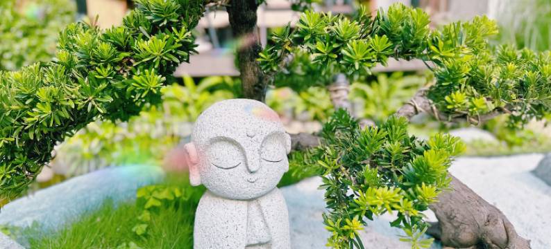 大理Bingo·海逸十号海景客栈(洱海才村码头店)图片