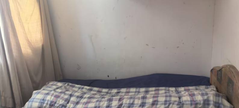 扬州老叶名宿图片