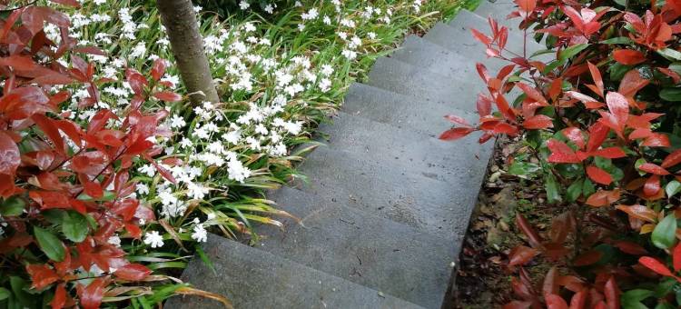 温汤镇军地人生精品客栈图片