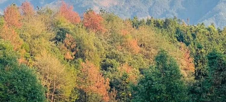 江郎山花间岭·云端觅境图片