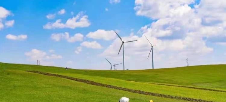 青野沐歌民宿图片