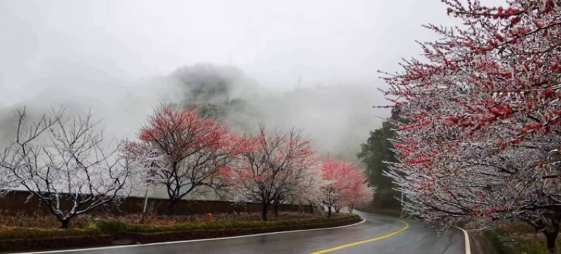 越龙山上观·龙越度假别墅图片