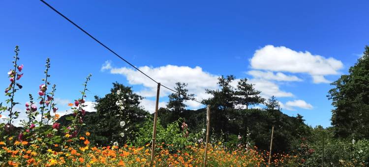广元云中客避暑山庄特色民宿图片